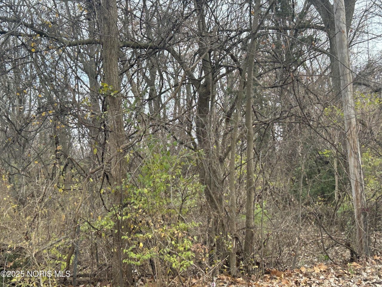 6220 Whiteford Center Road, Toledo, OH 43613 Main Photo