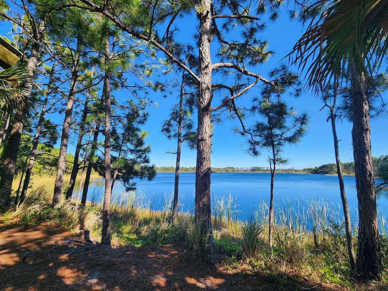 518 N 15th Street, Fort Pierce, FL 34950 Photo