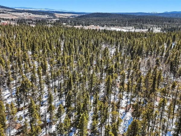 235 Willow Lane, Fairplay, CO 80440