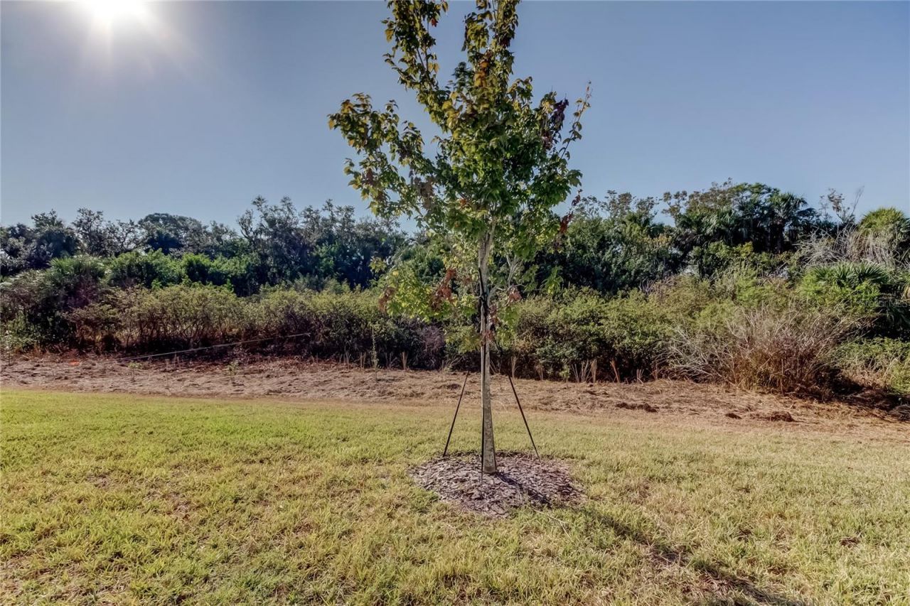 11633 Glenside Terrace, Palmetto, FL 34221 Photo