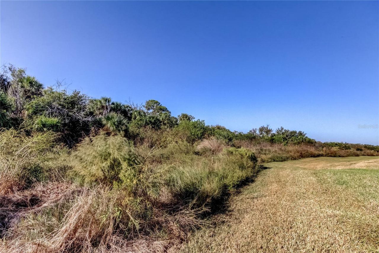 11633 Glenside Terrace, Palmetto, FL 34221 Photo