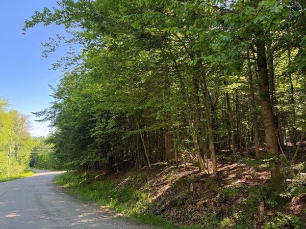 311 Beechwood Lane, Unit 19, Peru, VT 05152