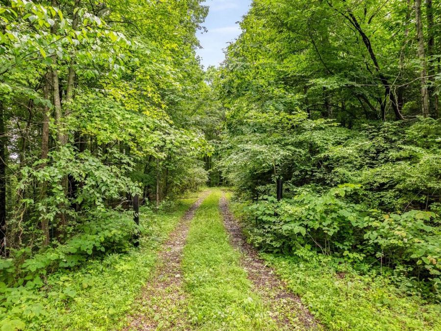 Property Image 35