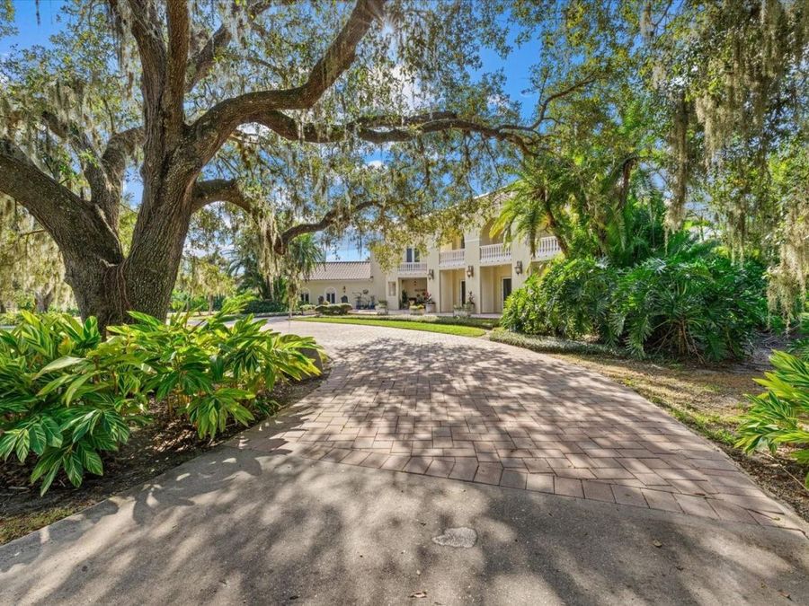 Property Image 85