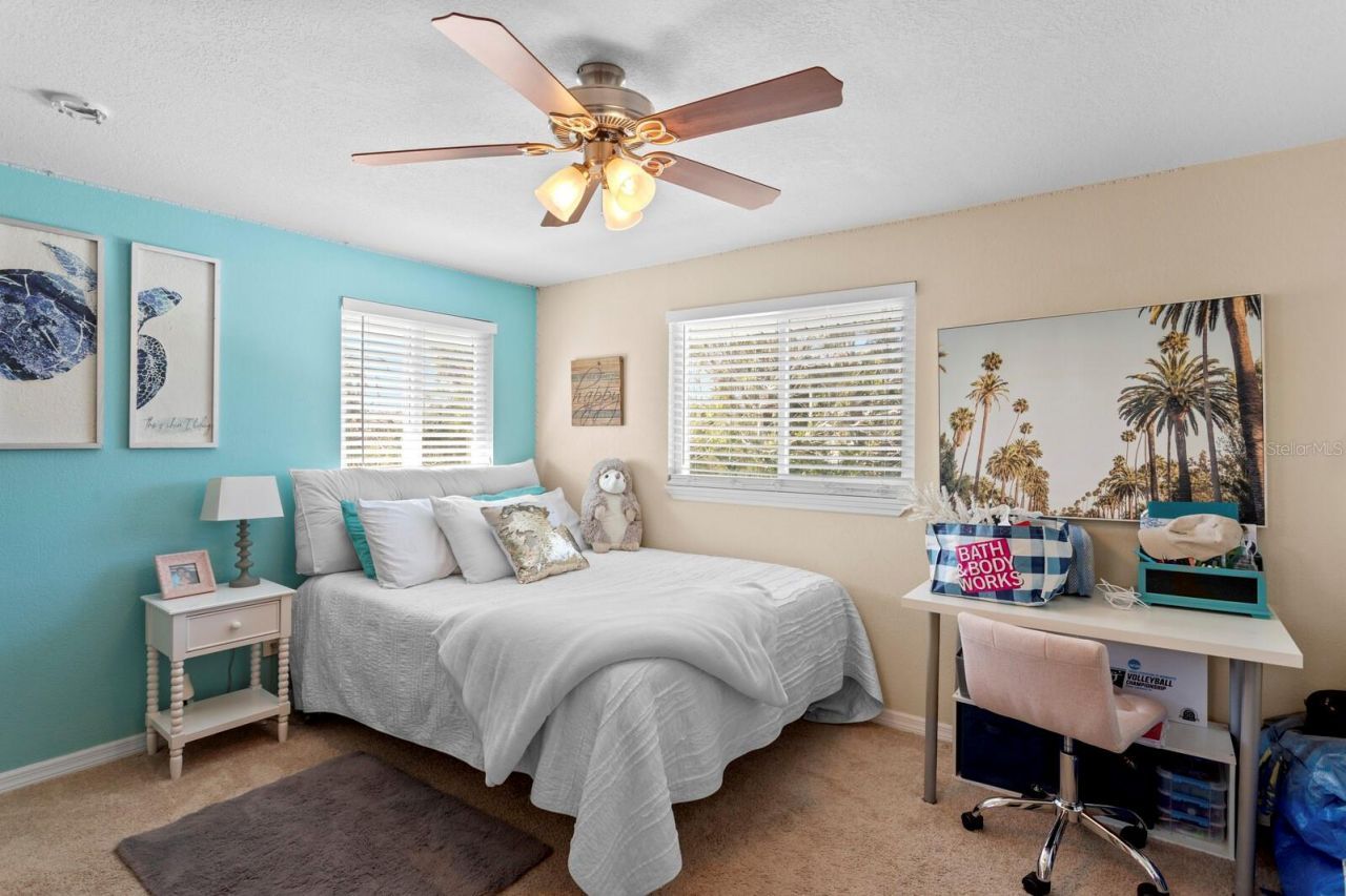 5500 Venetian Boulevard Ne, Saint Petersburg, FL 33703 Photo