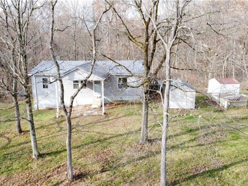 48457 State Route 556, Beallsville, OH 43716 Photo 4