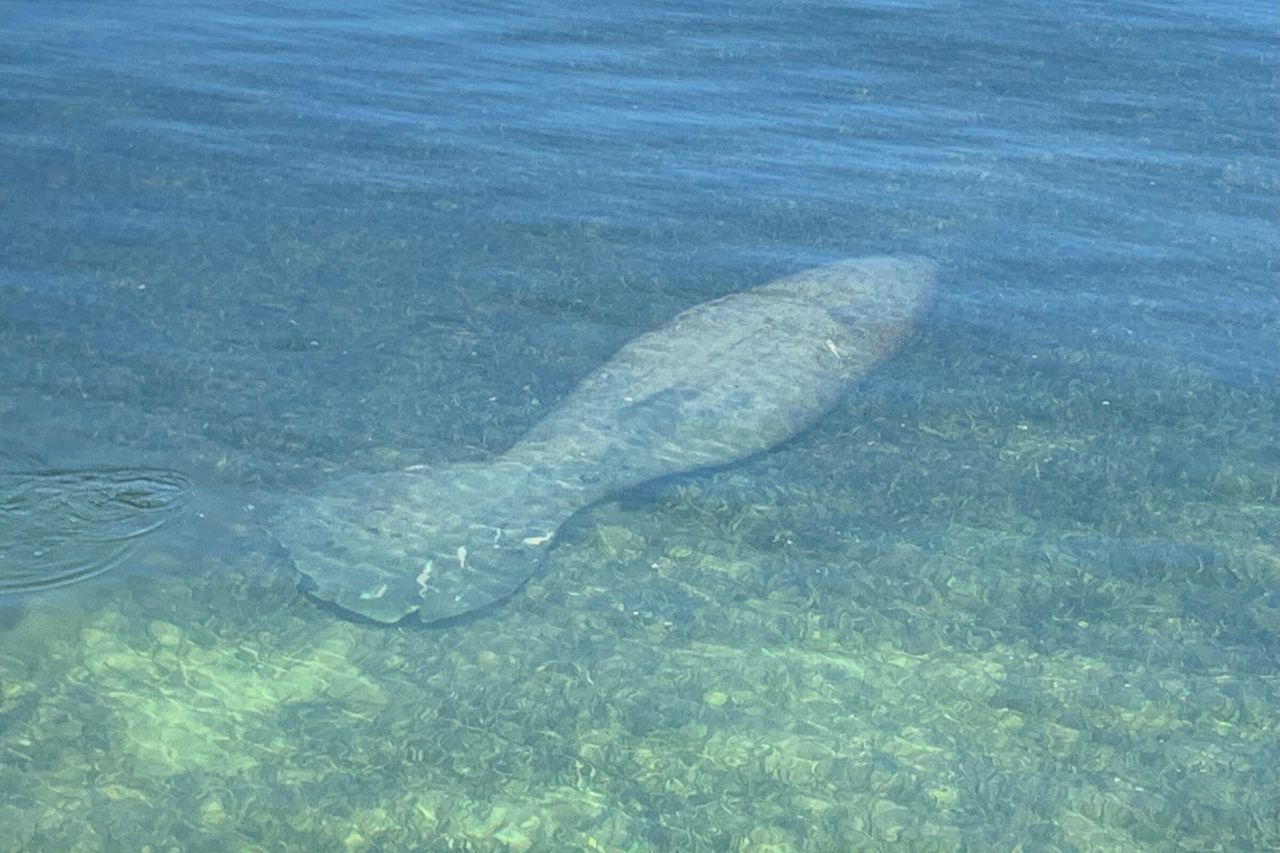 100 List Street, Islamorada, FL 33036 Photo