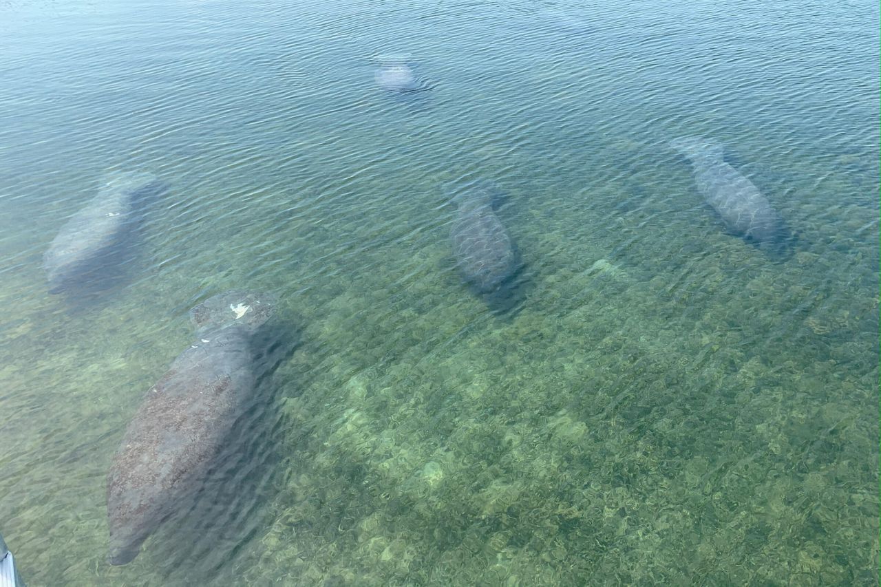 100 List Street, Islamorada, FL 33036 Photo