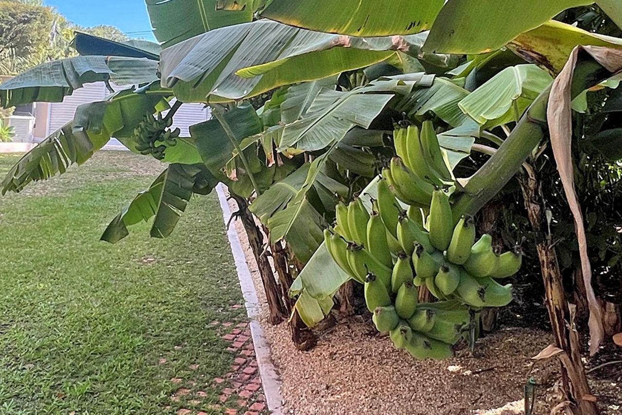 100 List Street, Islamorada, FL 33036 Photo