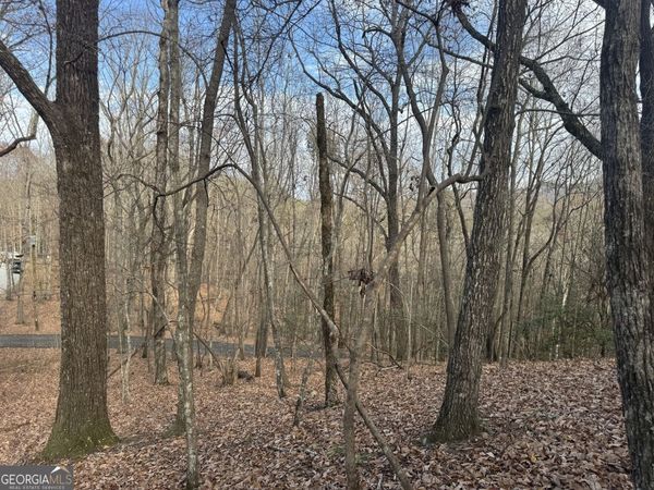 0 Geneva Place, Sautee Nacoochee, GA 30571