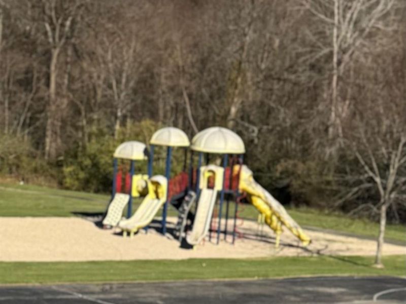 215 E Beech Street, Highland, OH 45133 Photo 39