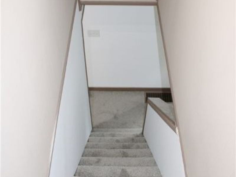 236 Ace Drive, Rayland, OH 43943 Photo 12