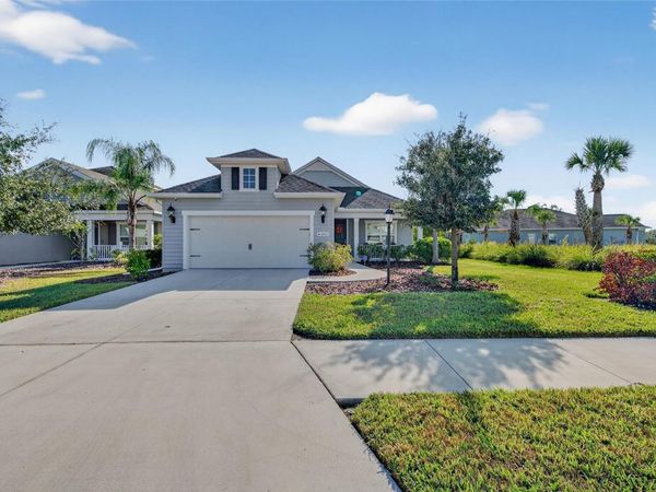 10915 BLUE MAGNOLIA LANE, PARRISH, FL 34219