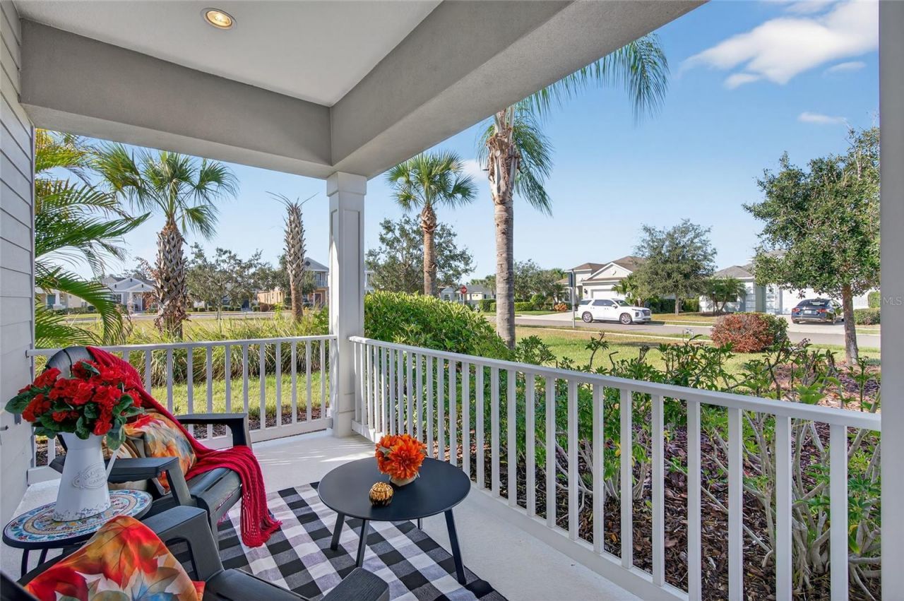 10915 Blue Magnolia Lane, Parrish, FL 34219 Photo