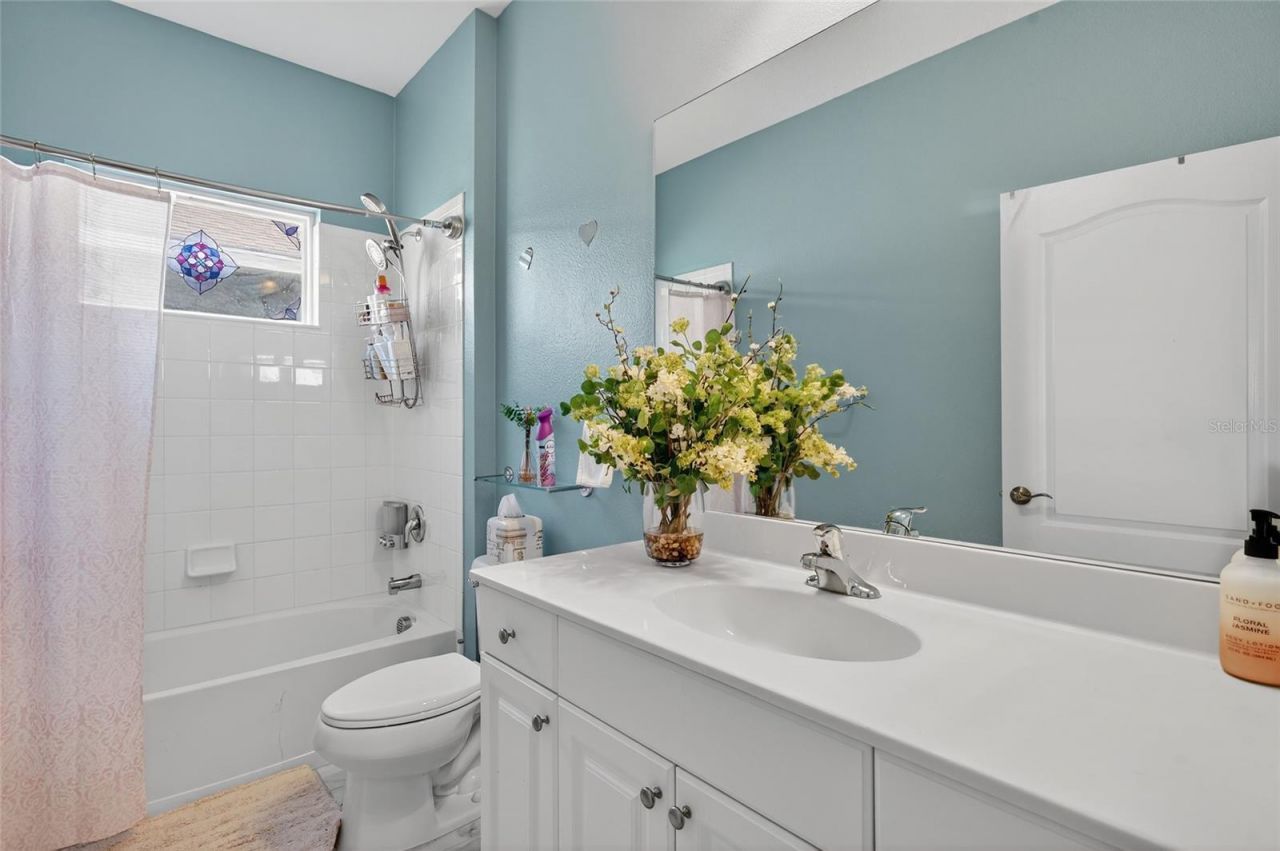 10915 Blue Magnolia Lane, Parrish, FL 34219 Photo