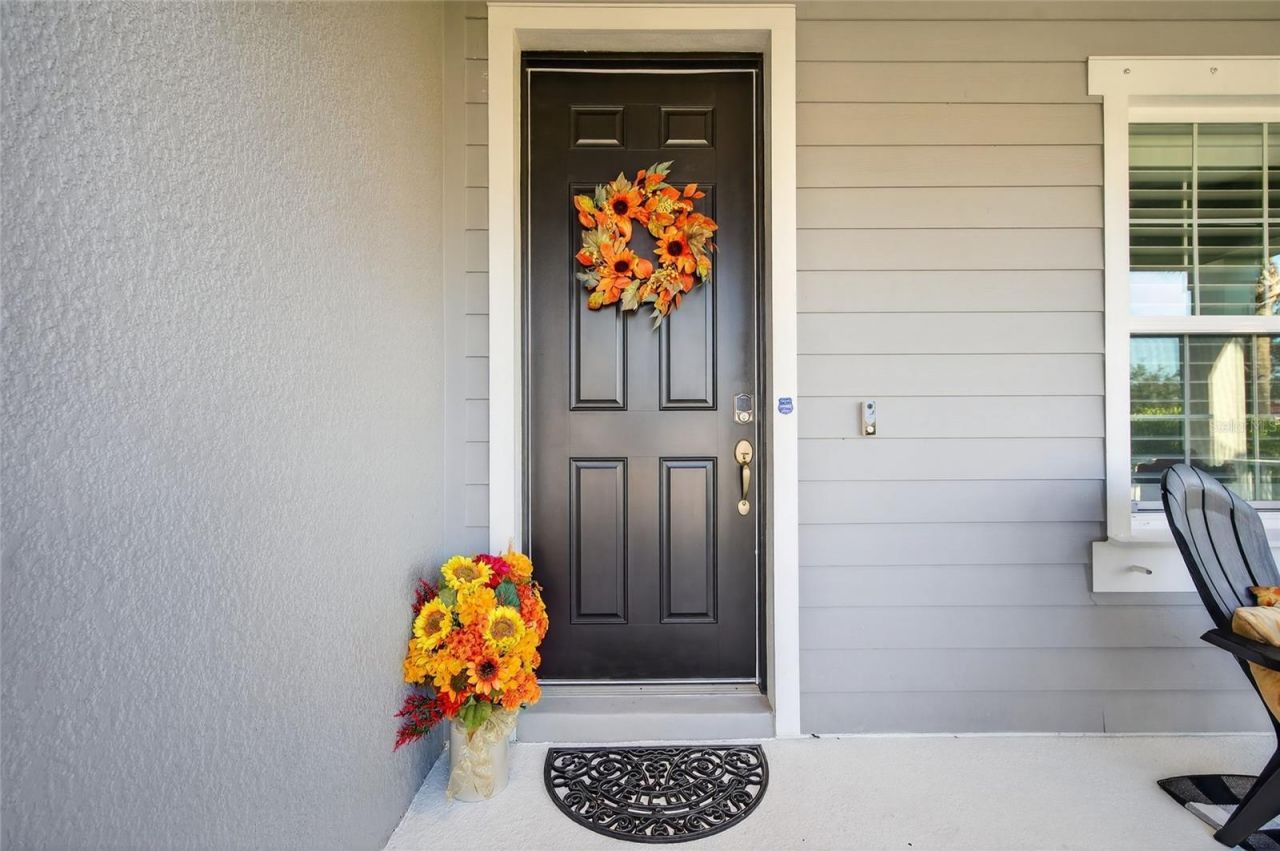 10915 Blue Magnolia Lane, Parrish, FL 34219 Photo