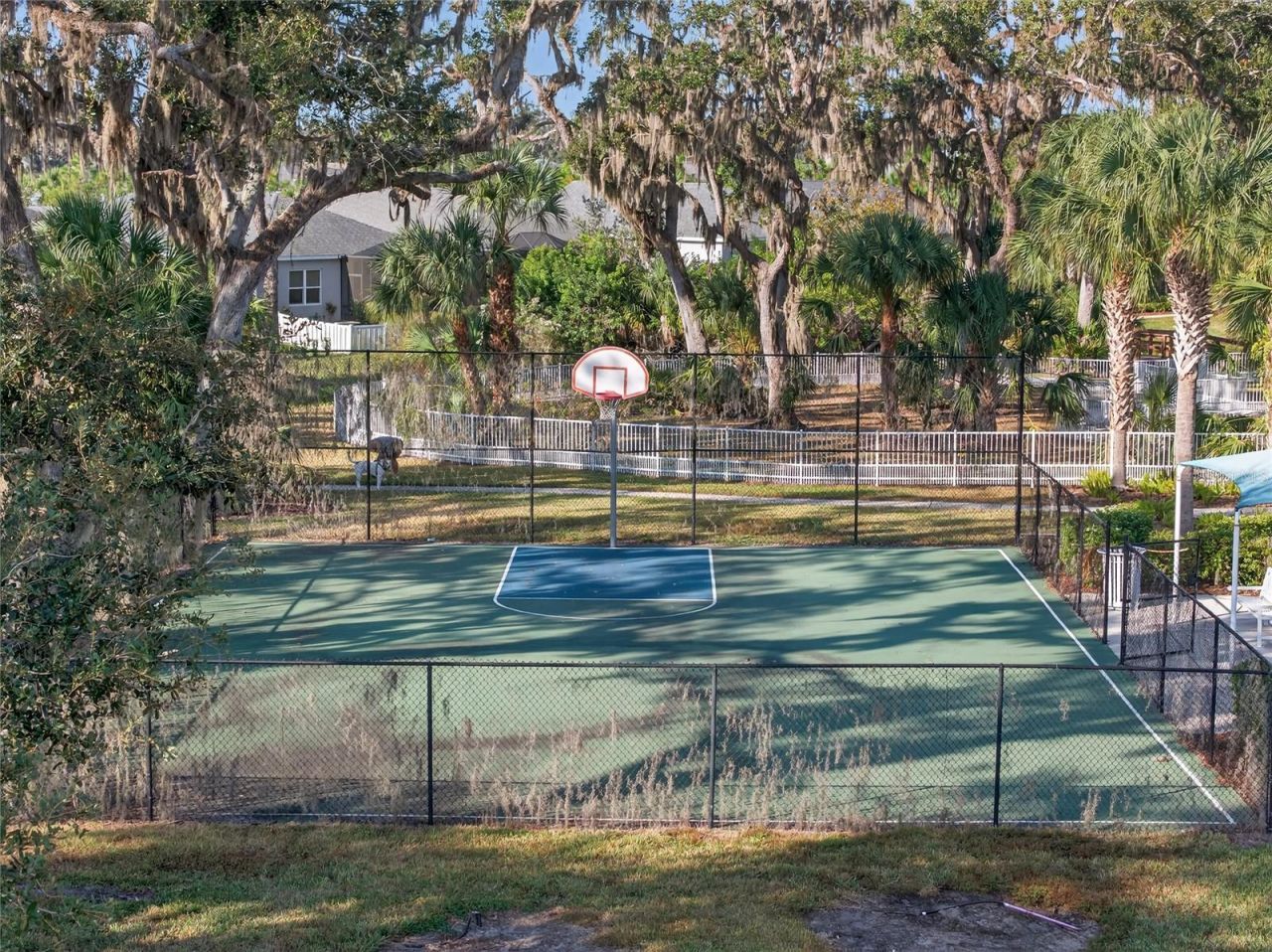 10915 Blue Magnolia Lane, Parrish, FL 34219 Photo