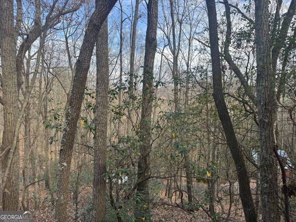 0 Geneva Place, Sautee Nacoochee, GA 30571