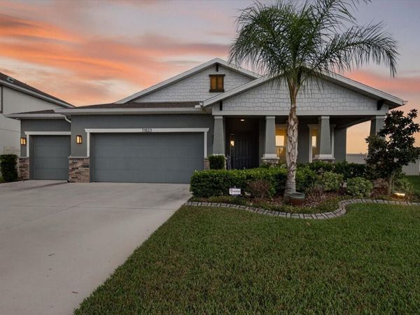 11823 TETRAFIN DRIVE, RIVERVIEW, FL 33579