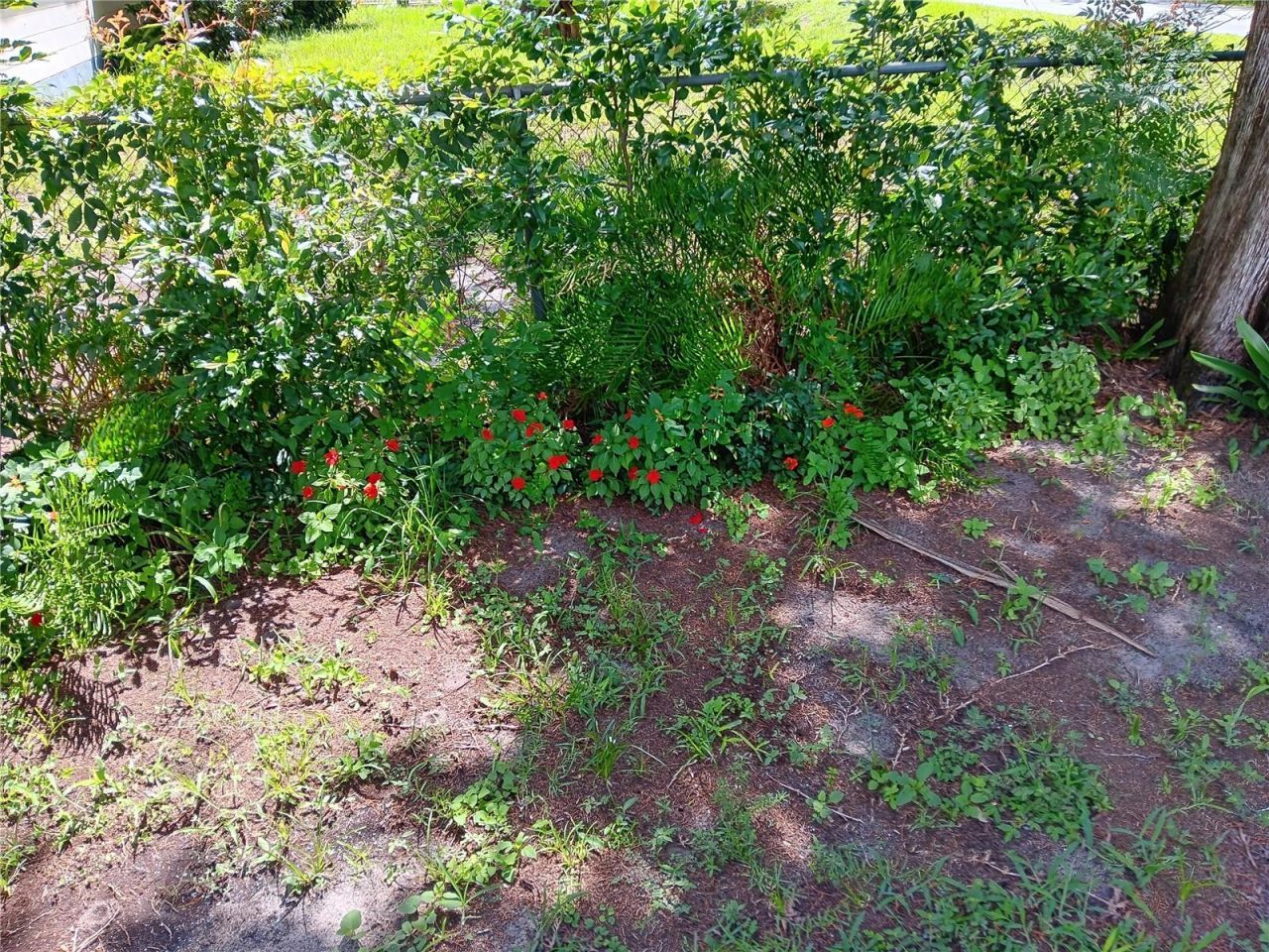 1440 SE 23rd Avenue, Gainesville, FL 32641 Photo