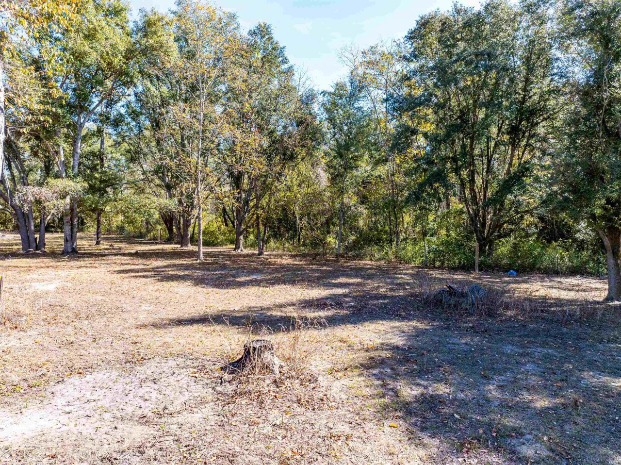 325 SW Durham Way, Greenville, FL 32331 Photo