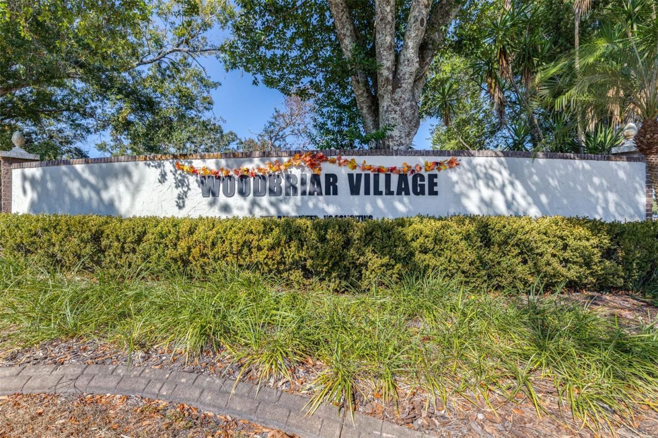 15401 Woodcastle Place, Tampa, FL 33613 Photo