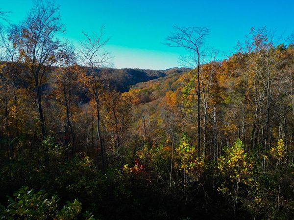 0 Rock Springs Rd, Celina, TN 38551