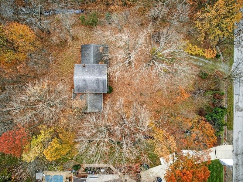 2875 Fowler Drive, Willoughby Hills, OH 44094 Photo 9