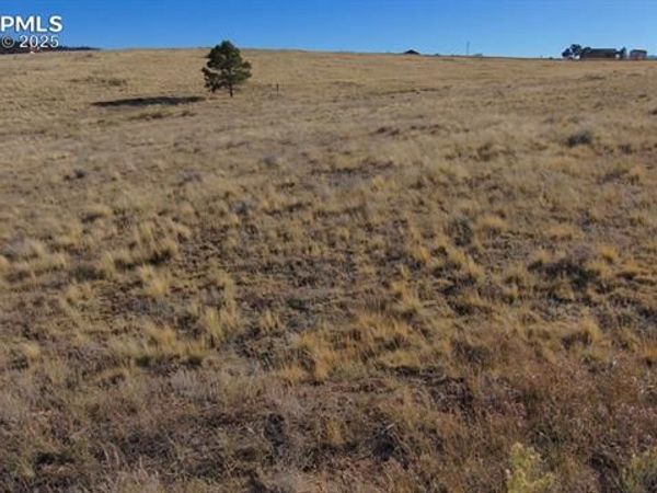 152 Wulstein Way, Westcliffe, CO 81252