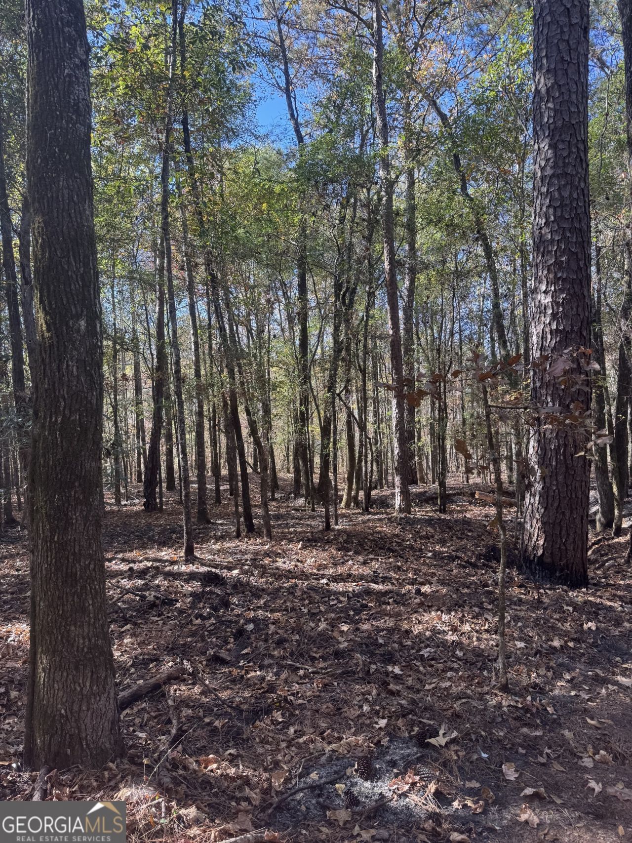 151 W Drummond Road, West Point, GA 31833 Main Photo