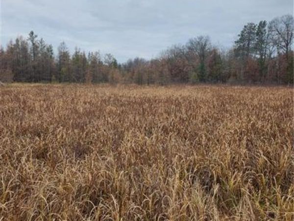 XXX County Road FF, Webster, WI 54893