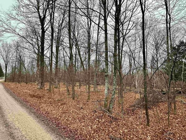 Lot 60 CHIP N DALE DRIVE, Pickerel, WI 54465