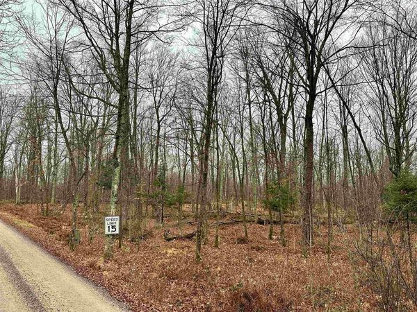 Lot 61 CHIP N DALE DRIVE, Pickerel, WI 54465