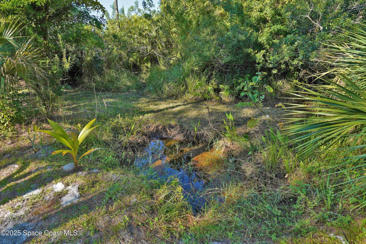 4060 Edisto Drive, Grant, FL 32949 Photo