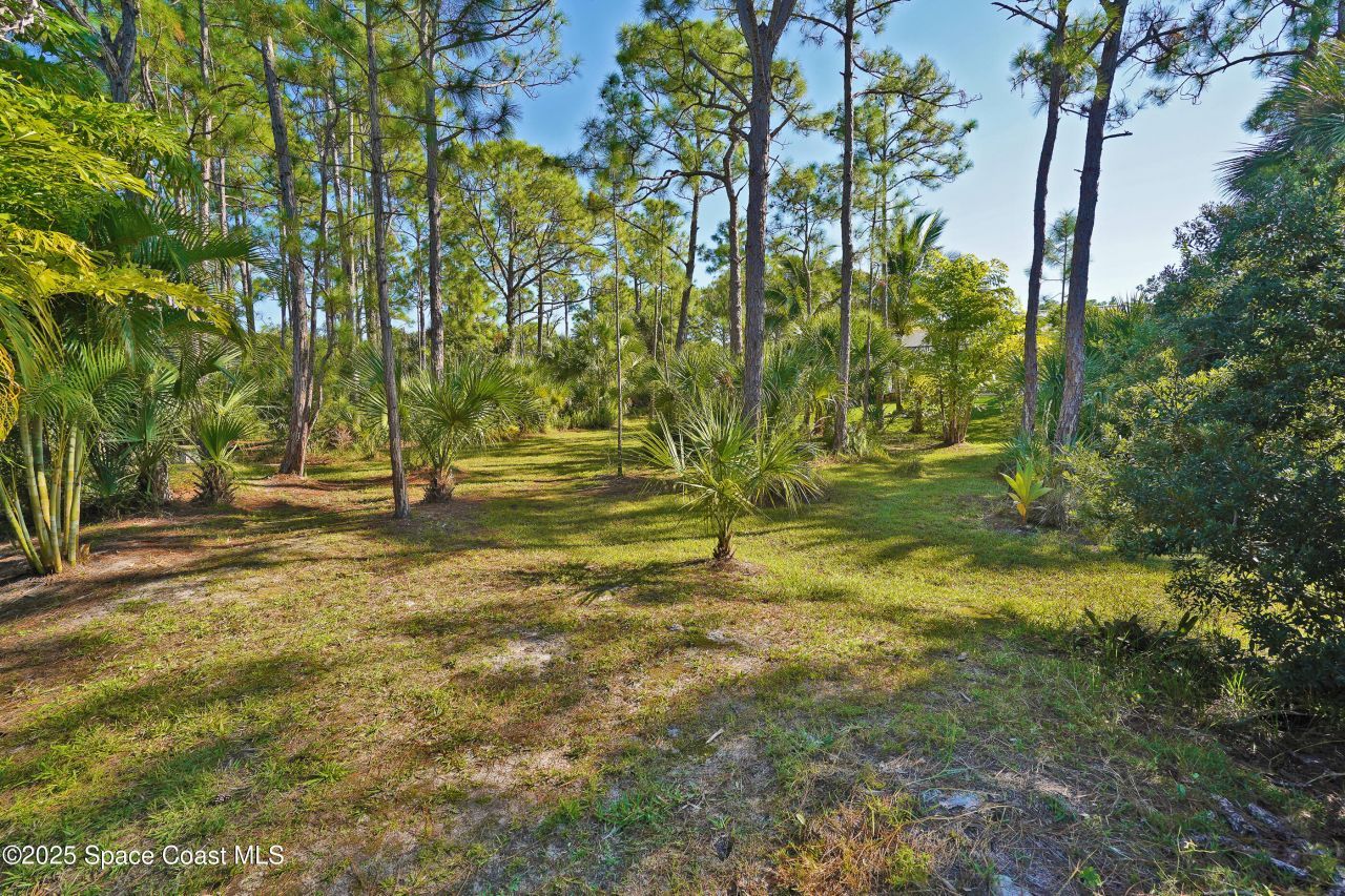 4060 Edisto Drive, Grant, FL 32949 Photo
