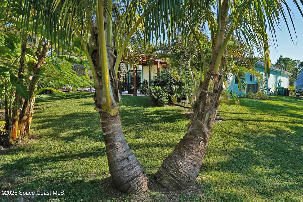 4060 Edisto Drive, Grant, FL 32949 Photo