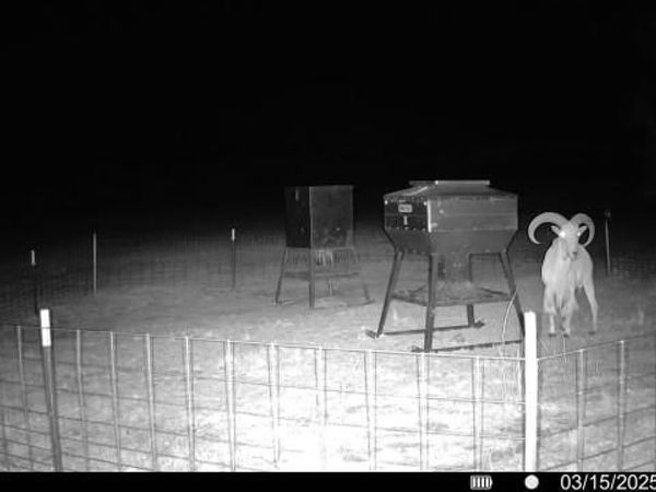 15100 County Road 129, Brownwood, TX 76801