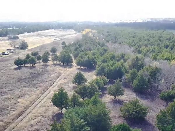 CR 656 County Road 656, Farmersville, TX 75442