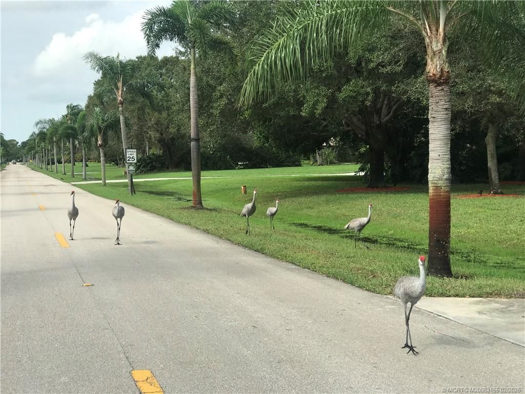 4335 SW Bimini Circle S, Palm City, FL 34990 Photo