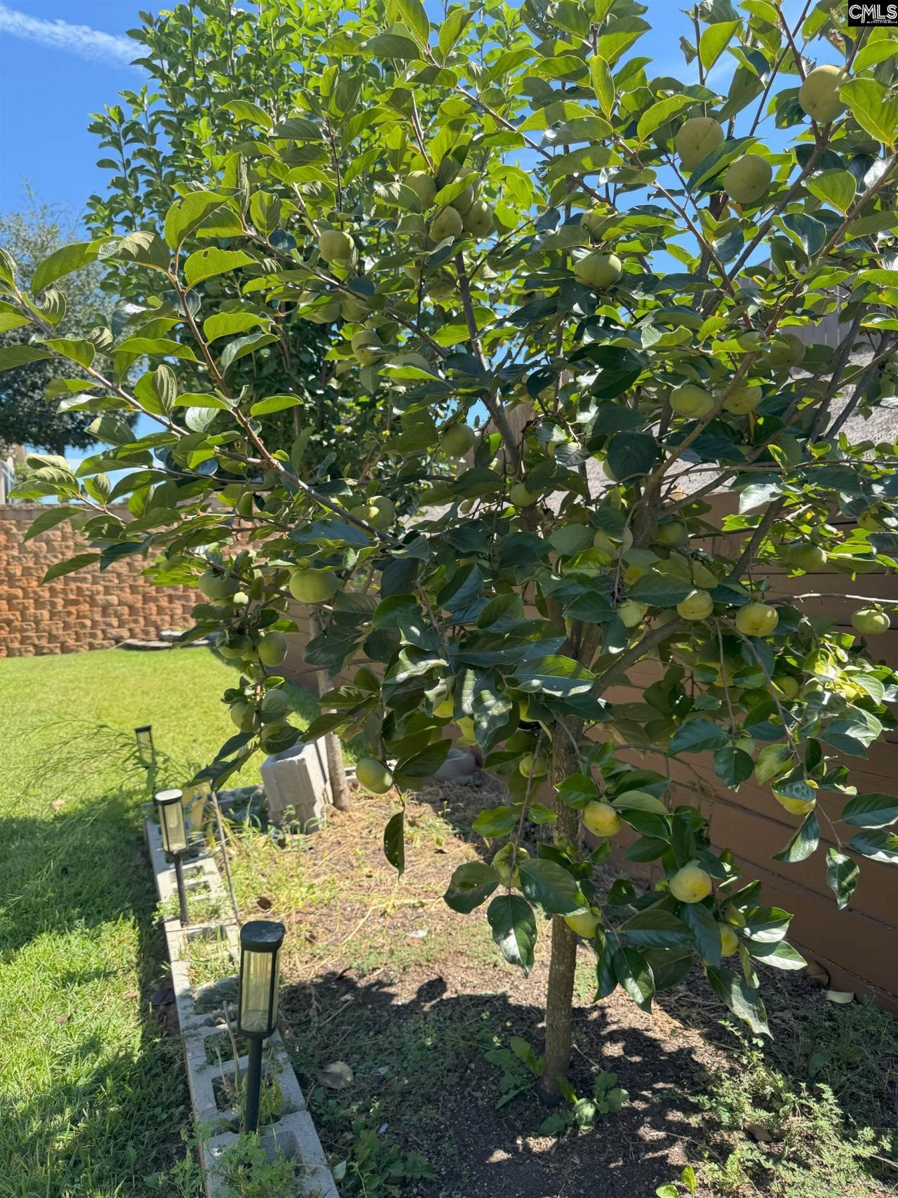 549 Everton Drive Photo 25