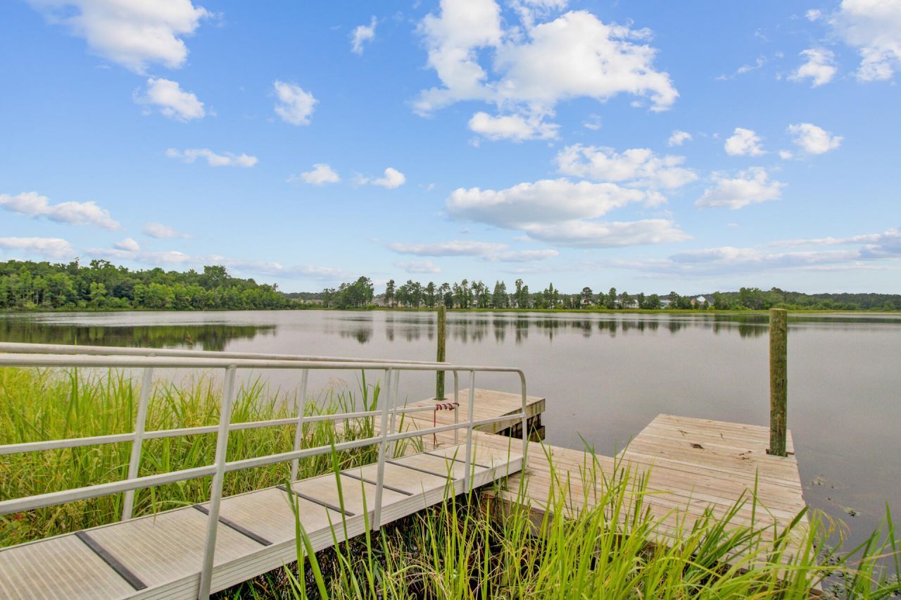 352 Herty Park Drive Photo 63