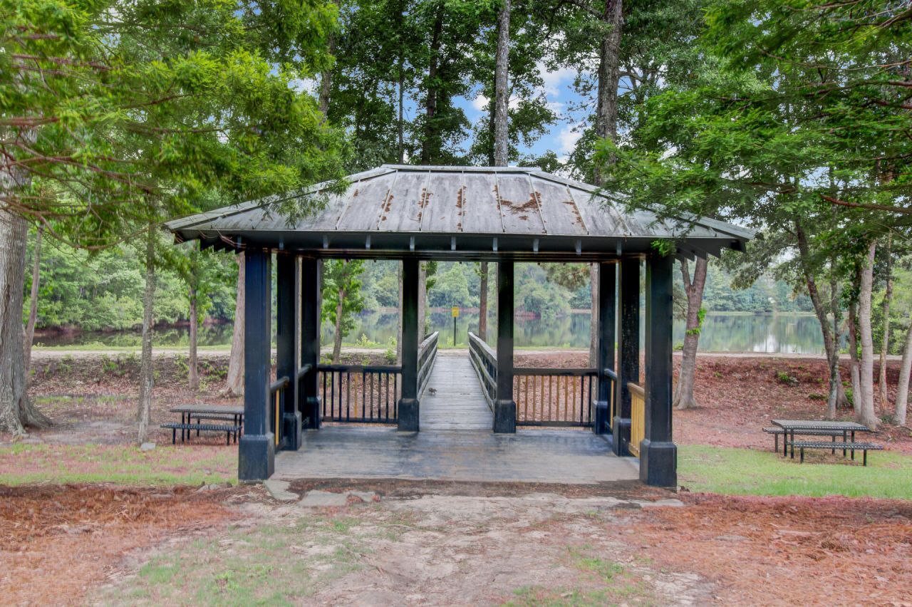 352 Herty Park Drive Photo 66