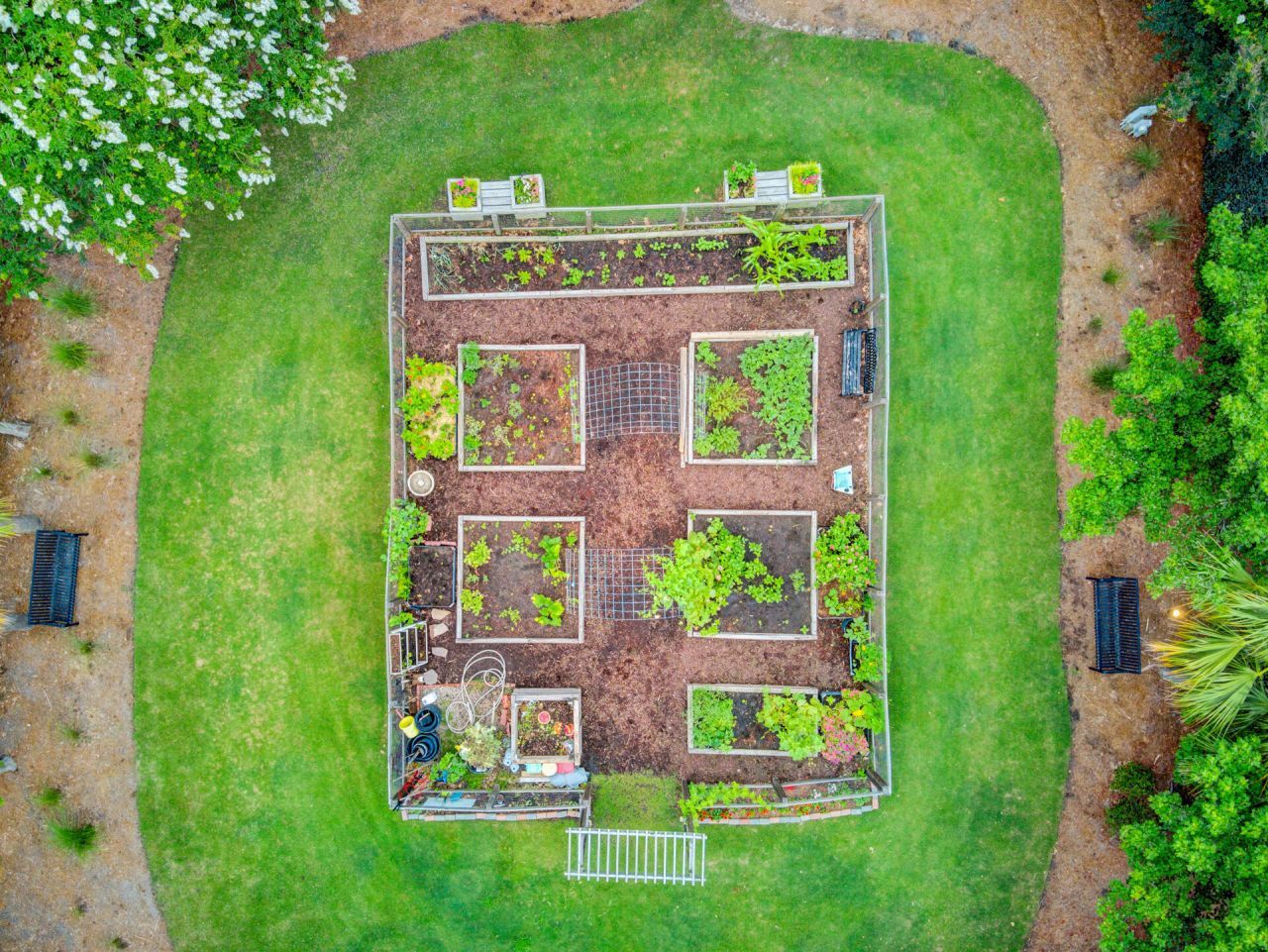 352 Herty Park Drive Photo 85