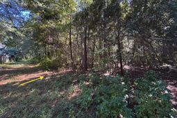 000 Half Street photo 4