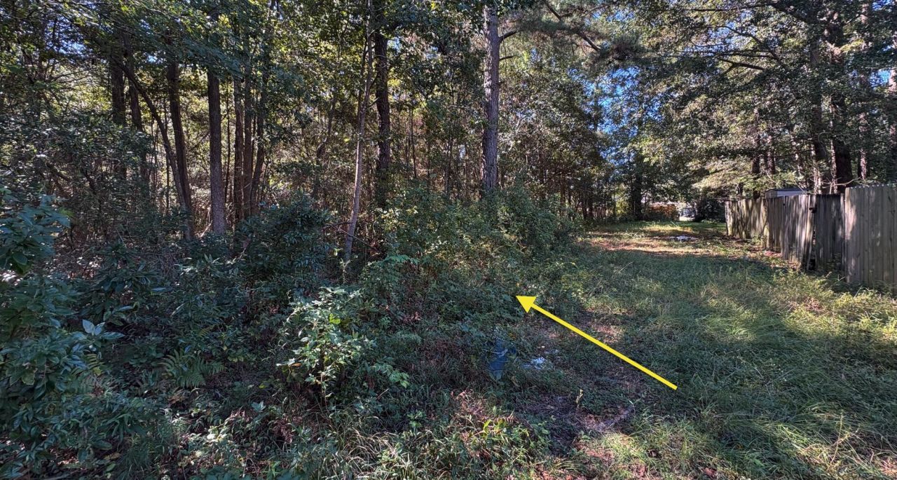 000 Half Street Photo 4