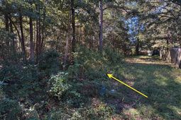 000 Half Street photo 4