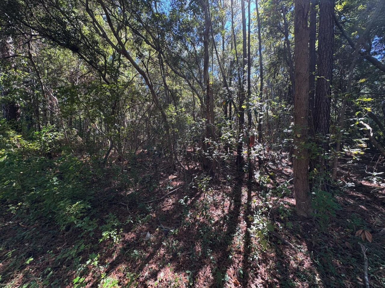 000 Half Street Photo 5