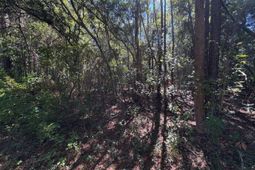 000 Half Street photo 4