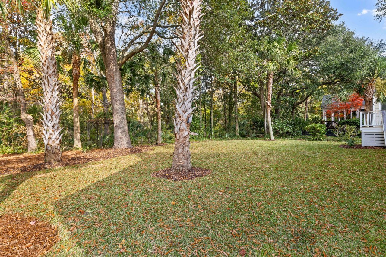 118 Scott Street Photo 53