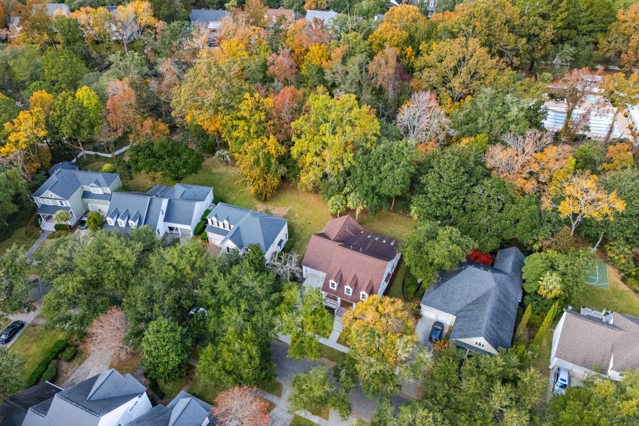 118 Scott Street Photo 54